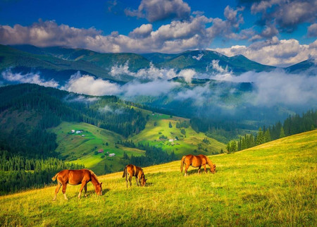 Україна турист