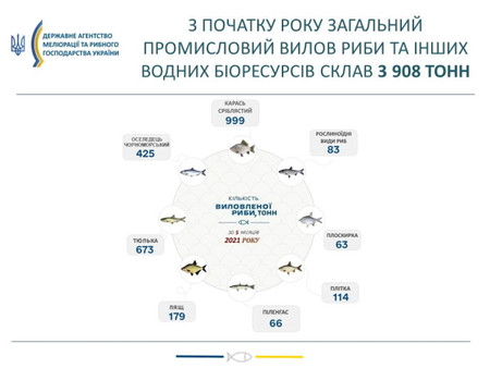 риба азовське море