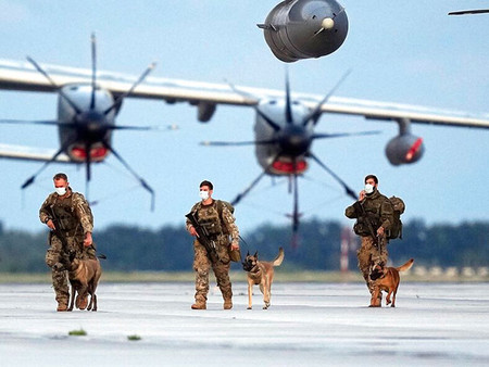 америка военный служебная собака